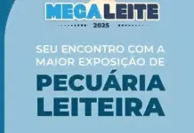 Produtores do Vale do Jamari participam da 20ª edição da Megaleite em missão técnica promovida pelo Sebrae